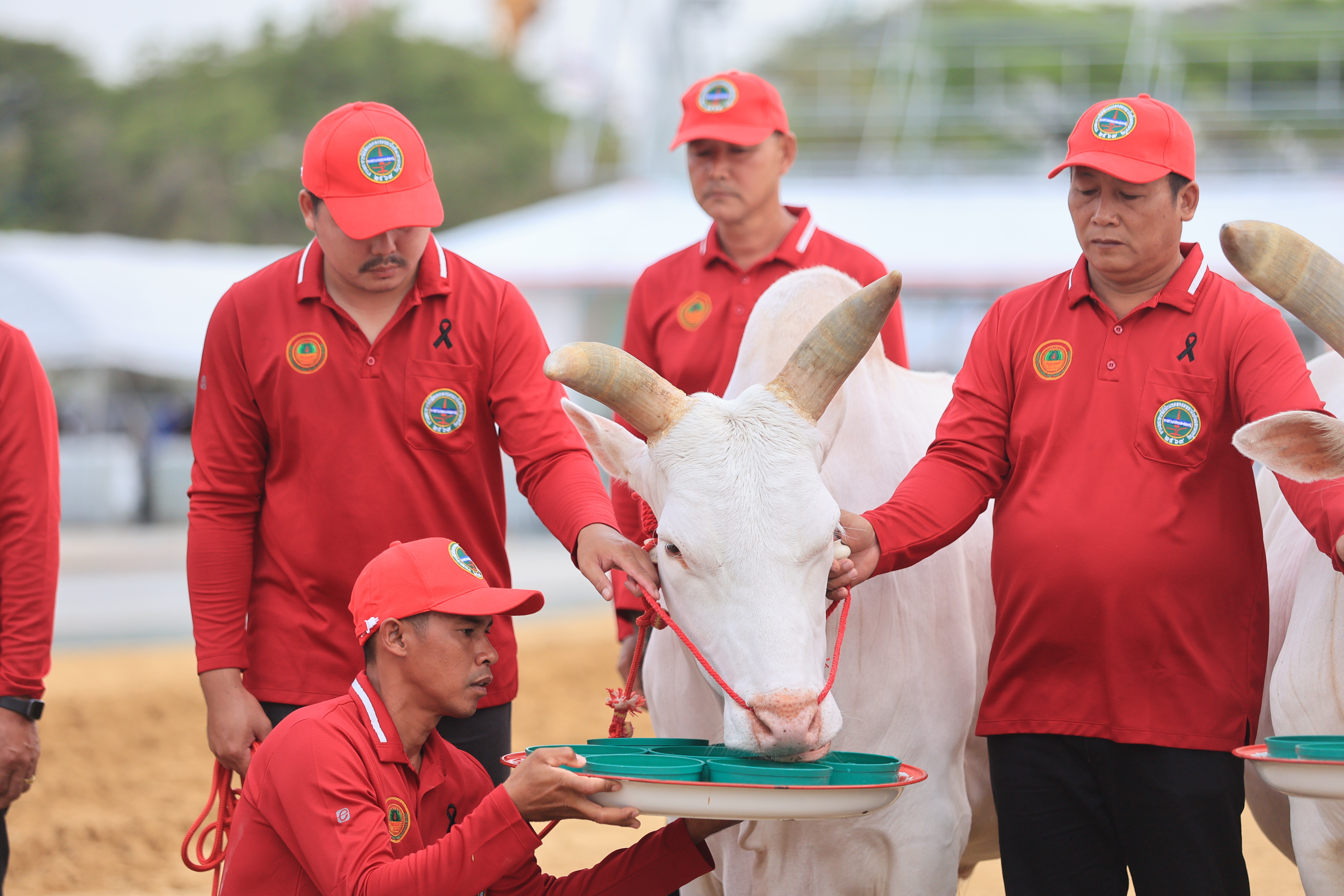 title - ส.ป.ก. ร่วมซ้อมย่อย ครั้งที่ 2 พระราชพิธีพืชมงคลจรดพระนังคัลแรกนาขวัญ ประจำปีพุทธศักราช 2569